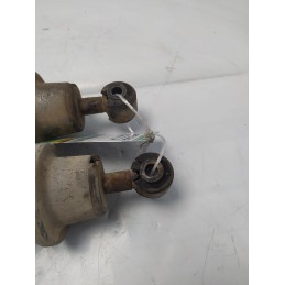 Ammortizzatori coppia posteriore Ligier DUE js 50cc 2009