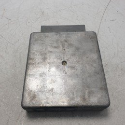 YS4F12A650PA Centralina ecu...