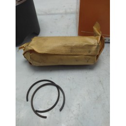 87-781900-30 Pistone completo 100.00mm Iveco 8040.02 