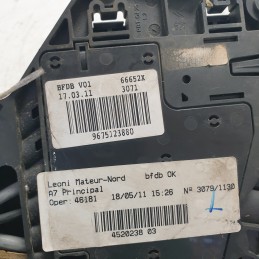 9675123880 Centralina portafusibili sopra batteria Peugeot 207 WA WC 1.4HDI  2011