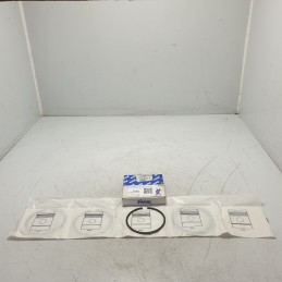 AL07-RS526 fasce elastiche...
