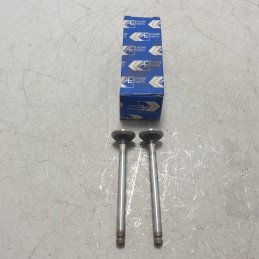 V91287 Valvole 2xpz Fiat...