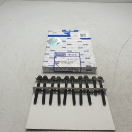 81010100 Bulloni testata...