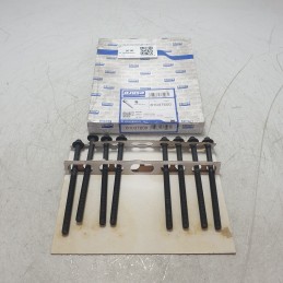 81037600 Kit bulloni...