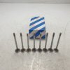 01.0746 Valvole 8XPZ Ford Focus 1.4i 16v testa 24.5mm stelo 0.6mm lungh 98mm 1999-04