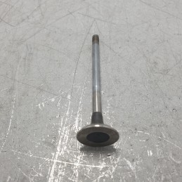 01.0746 Valvole 8XPZ Ford Focus 1.4i 16v testa 24.5mm stelo 0.6mm lungh 98mm 1999-04