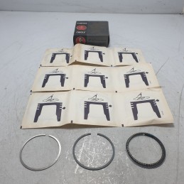 40429610 fasce elastiche...