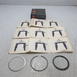 40429610 fasce elastiche...