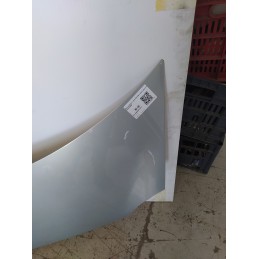 Renault Modus I serie 2004-09 Cofano anteriore 651001535R