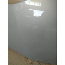 Renault Modus I serie 2004-09 Cofano anteriore 651001535R