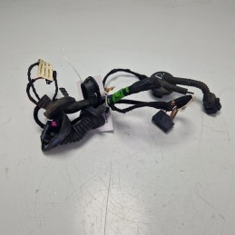Cablaggio portiera post SX...