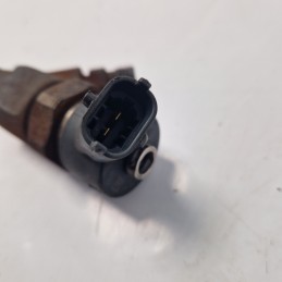 Iniettore Bosch 2 pin Renault Kangoo 1.9dti  2002 0445110109