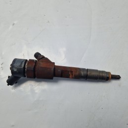 Iniettore Bosch 2 pin Renault Kangoo 1.9dti  2002 0445110109