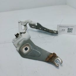 Cerniera cofano motore...