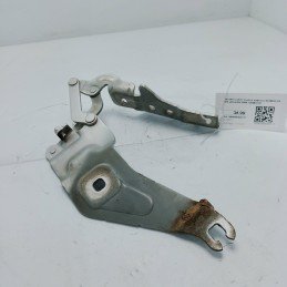 Cerniera cofano motore...