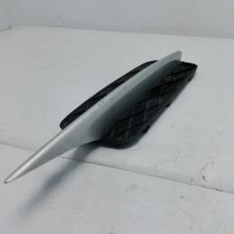 Griglia paraurti anteriore DX BMW X5 E70 xDrive30d 2008 7159594