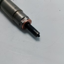 Iniettore carburante diesel BMW X5 E70 xDrive30d 2008 7808089.01