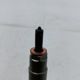 Iniettore carburante diesel BMW X5 E70 xDrive30d 2008 7808089.01