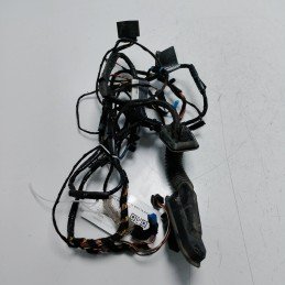 Cablaggio portiera ant SX...