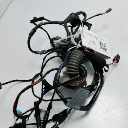 Cablaggio portiera ant DX BMW X5 E70 xDrive30d 2008 9116976