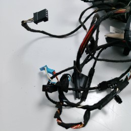 Cablaggio portiera ant DX BMW X5 E70 xDrive30d 2008 9116976