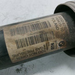 Ammortizzatore post dx BMW X5 E70 xDrive30d 2008 33526782876