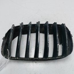 Griglia frontale sx  BMW X5...