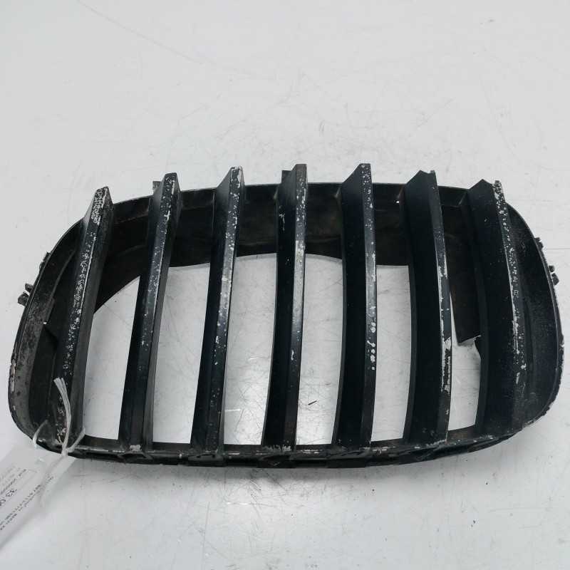 Griglia frontale sx BMW X5 E70 xDrive30d 2008 7157687 5113-7171395 usurata