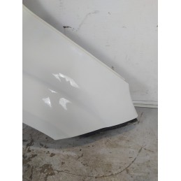 Parafango fianchetto ant DX Fiat Panda MK3 5P 1.2 GPL 51 KW 2012-24 51931800 bianco perlato