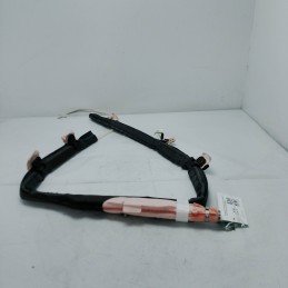 Airbag tetto laterale SX...