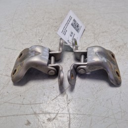 Coppia cerniere inf sup portiera post DX Hyundai Terracan 2.9 CRDI 4WD 2003-06 79360-H1000