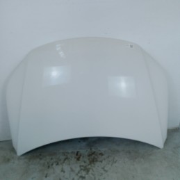 Cofano anteriore motore VW...