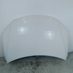 Cofano anteriore motore VW...