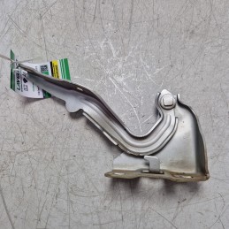 Cerniera cofano anteriore...