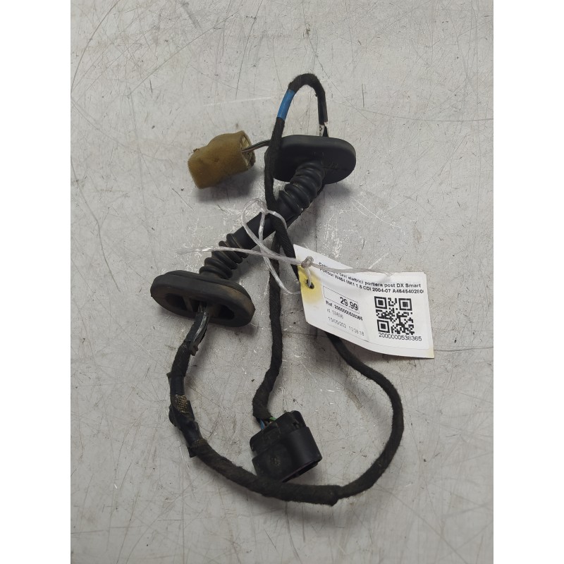 Cablaggio cavi elettrici portiera post DX Smart Forfour W454 MK1 1.5 CDI 2004-07 A4545402805