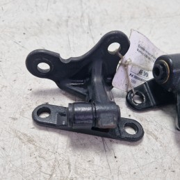 Coppia cerniere inf sup portiera post DX Smart Forfour W454 MK1 1.5 CDI 2004-07