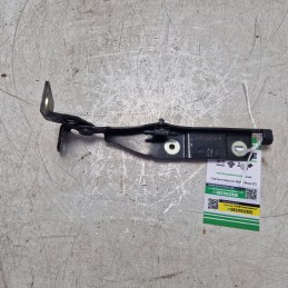 Cerniera cofano motore ant...