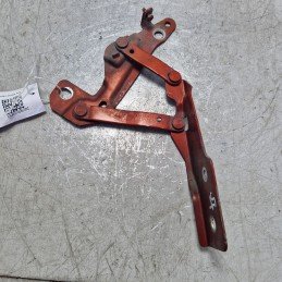 Cerniera cofano motore ant...