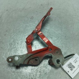 Cerniera cofano motore ant...