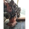 motore volkswagen LT 35 2.4 d immatricolazione 1979