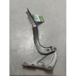 Cerniera DX cofano motore...