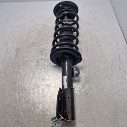 Ammortizzatore ant SX...