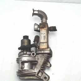 VALVOLA EGR RADIATORE...