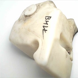 1387415 Vaschetta serbatoio tanica d'acqua liquido parabrezza Bmw E36