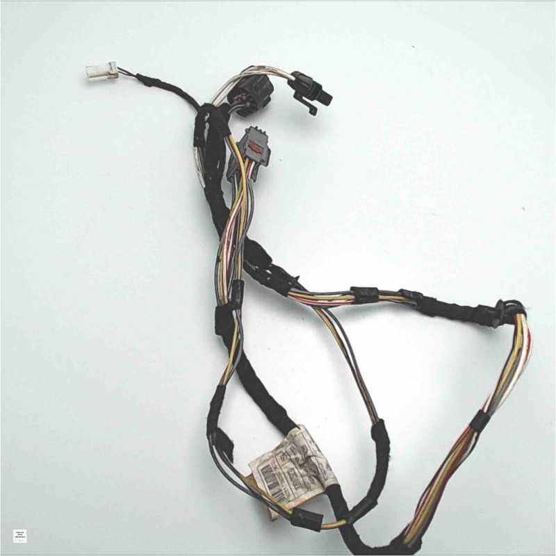 00517330290 Cablaggio impianto elettrico portiera anteriore destra Fiat Panda 2° serie 169 2007