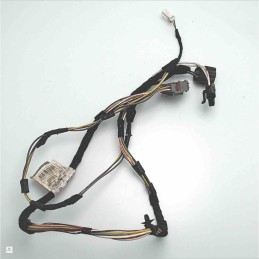 00517330290 Cablaggio impianto elettrico portiera anteriore destra Fiat Panda 2° serie 169 2007