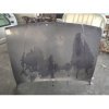 cofano anteriore  Toyota pos.F3