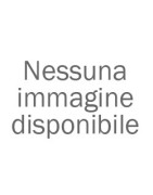 Limitatori di giri